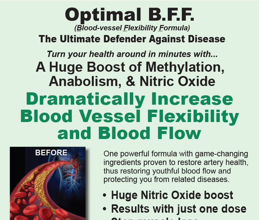Cropped image of the B.F.F. Booklet. Optimal BFF Booklet