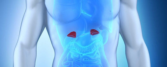 How to Build Resilience in a World Full of Health Stressors