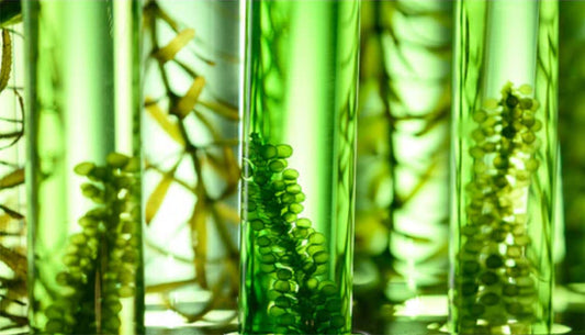 The U.S. is near the bottom for omega-3 intake worldwide, and children are suffering the most