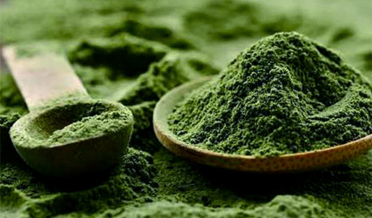 Algae-powder-spoon