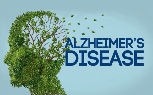 AlzheimersDisease