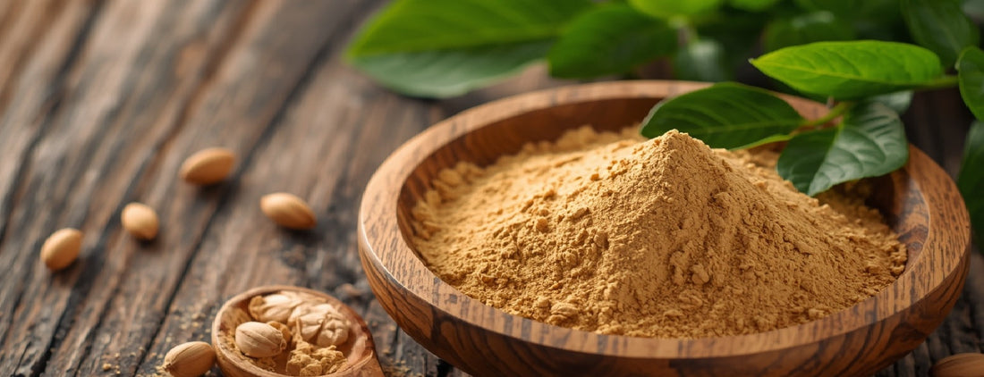 New Ashwagandha studies highlight adaptogenic benefits