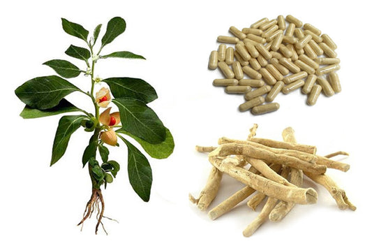 Ashwagandha-with-caps_LR