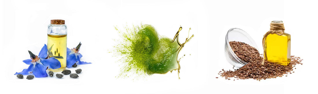 Studies show why plant-based Alpha-Linolenic Acid is best for testosterone and muscle growth