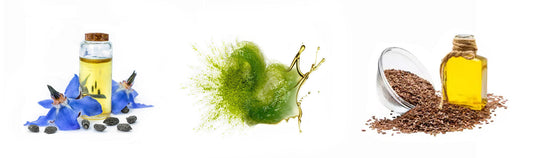 Studies show why plant-based Alpha-Linolenic Acid is best for testosterone and muscle growth