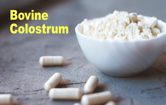 Bovine-colostrum-in-bowl