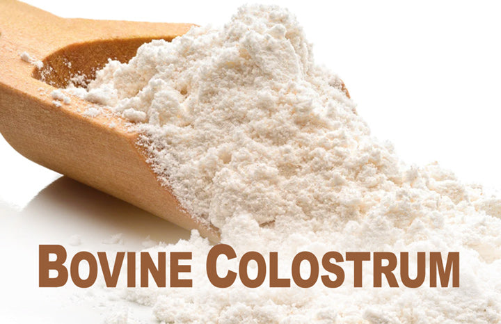 Bovine-colostrum_LR