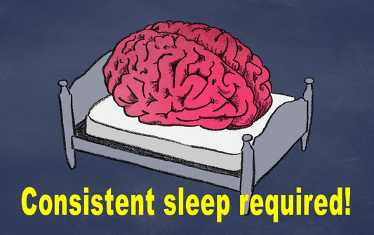 Brain-consistent-sleep_LR