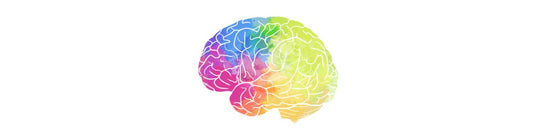 Vitamin C: Your mother's cold medicine could be your brain medicine!