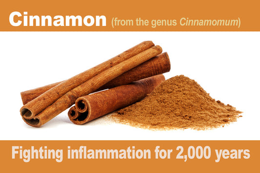 Cinnamon_2000-years_LR