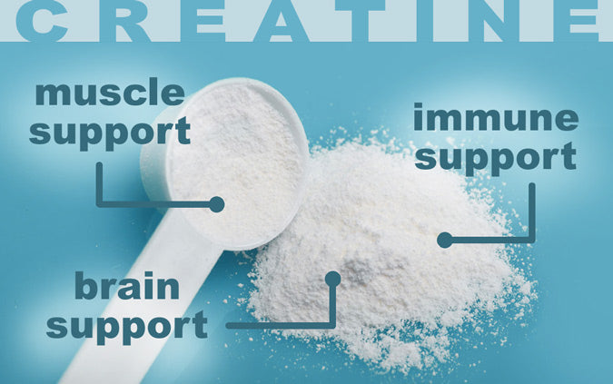 Creatine-for-muscle-brain_LR