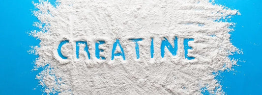 Diversity squared: Scope of creatine health benefits shown in two new studies