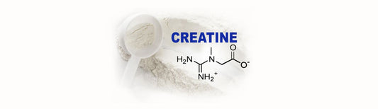 New studies show creatine can be a "strategic tool" for both body and brain