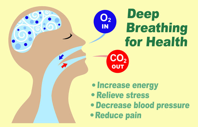 DeepBreathDiagram_v2