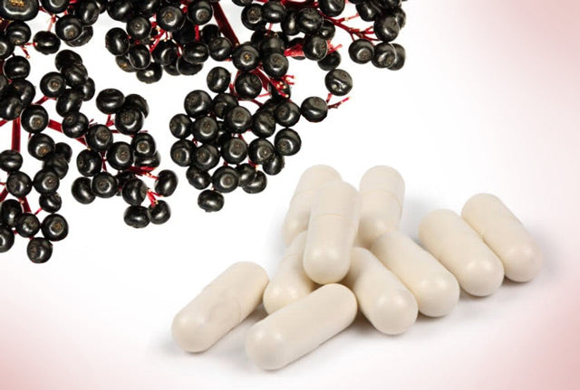 Elderberry-probiotics-combo_LR