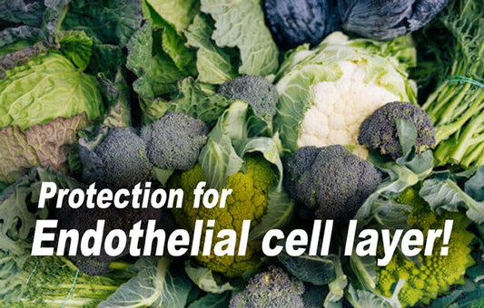 Endothelial-cell-protect_LR