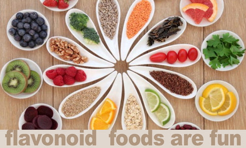 Flavonoid-Foods-Fun_LR