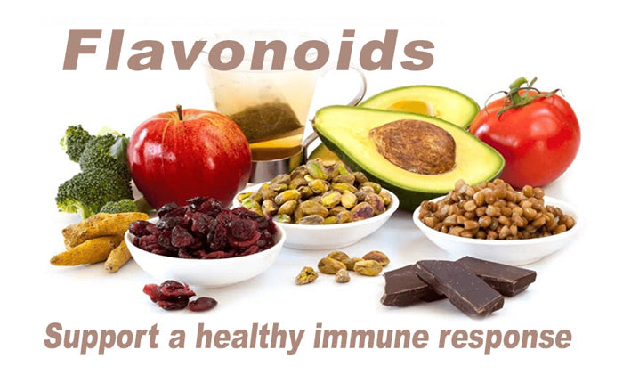 Flavonoids-immune_LR