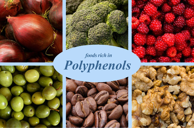 FoodsRichPolyphenols_LR
