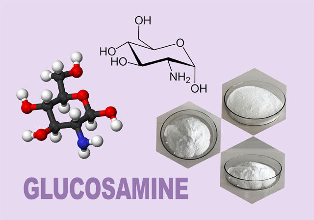 Glucosamine-graphic_LR