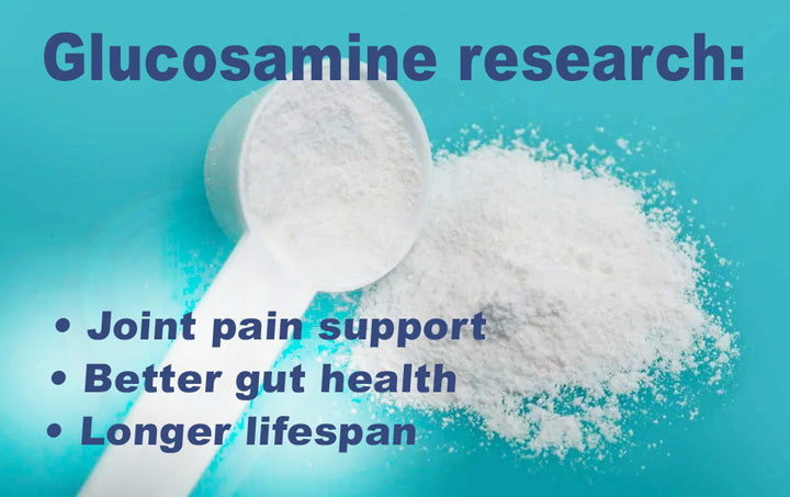Glucosamine-research_LR