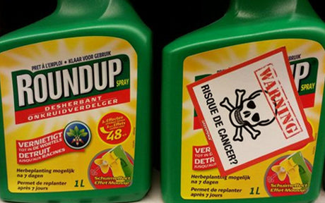 Glyphosate-Roundup