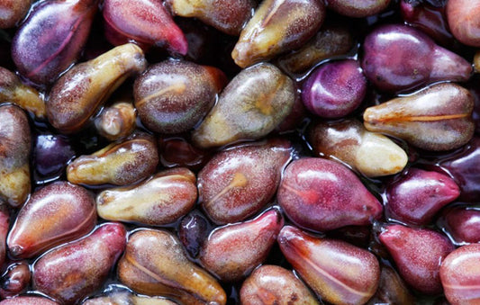 GrapeSeed