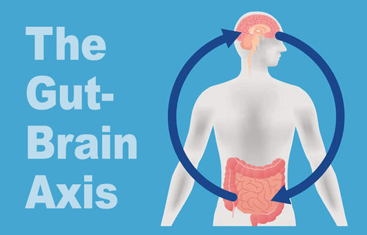 Gut-Brain-Axis_LR