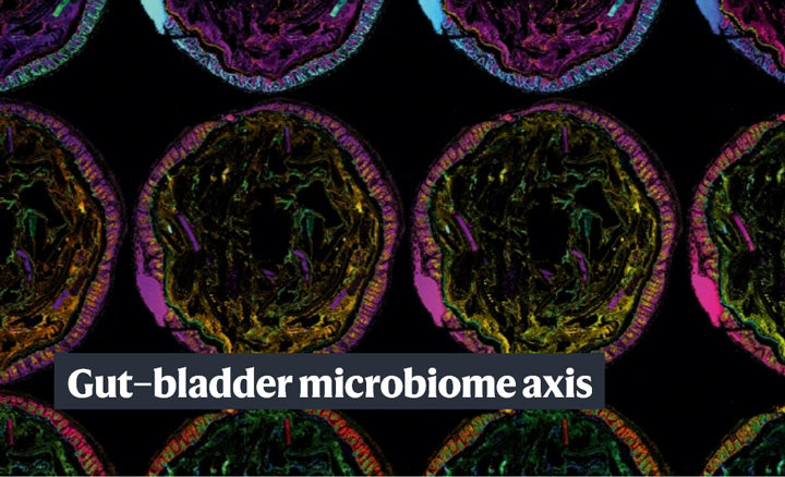 Gut-bladder-axis