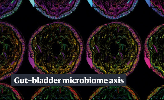 Gut-bladder-axis