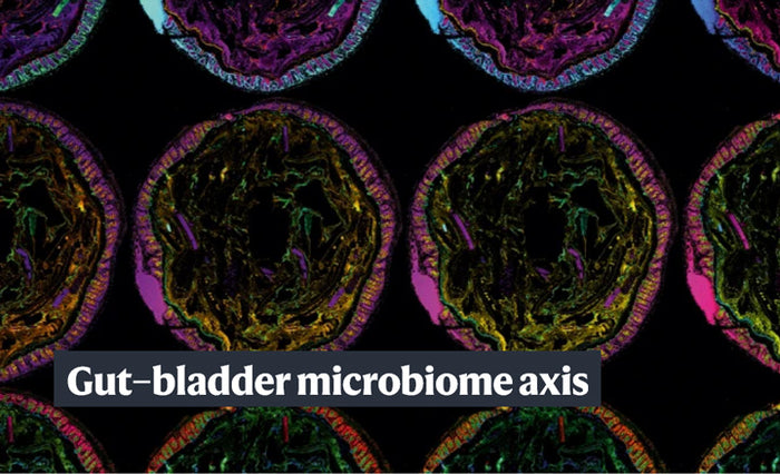 Gut-bladder-axis