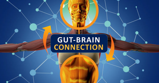 Gut–Brain Axis: How Your Microbiome Shapes Your Mood
