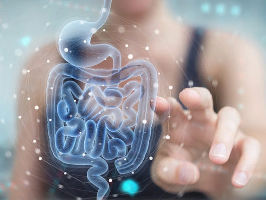 Gut-health-athletes