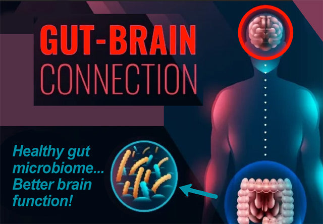HealthyGut-brain_LR