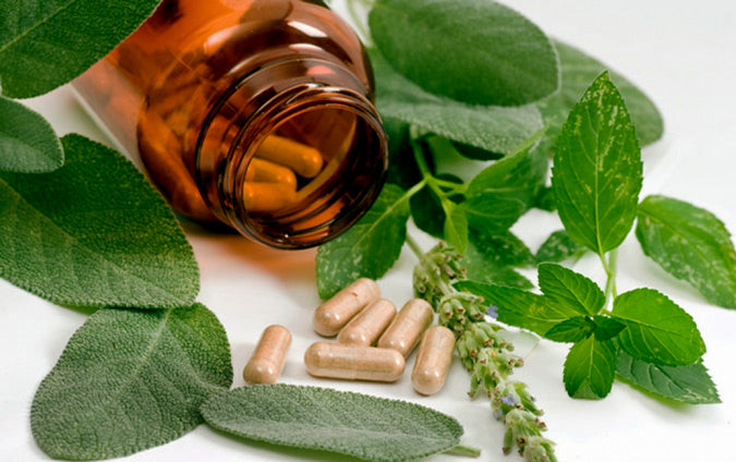 Herbals-used-by-most_sm