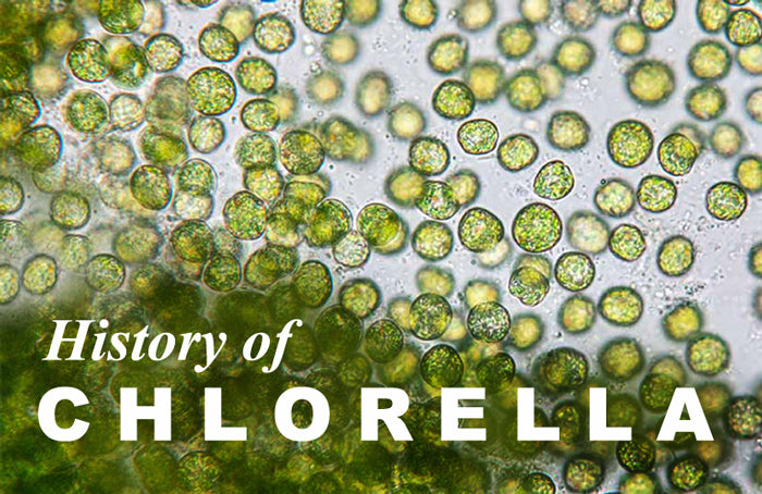 History-of-chlorella_LR