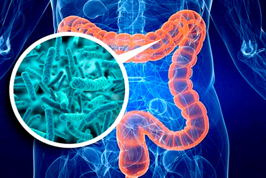 IntestinalMicrobes