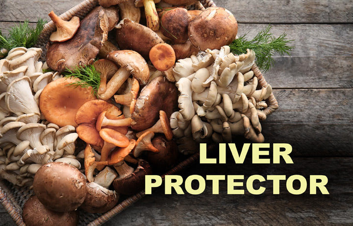 Liver-protector_LR