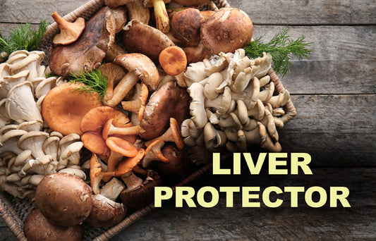 Liver-protector_LR