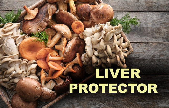 Liver-protector_LR