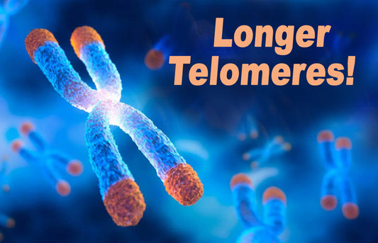 Longer-telomeres_LR