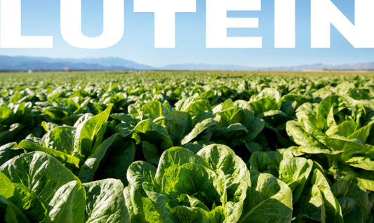 Lutein_2
