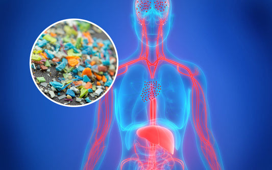 Microplastics-in-body