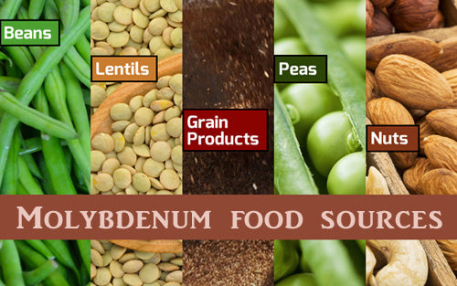 MolybdenumFoodSources