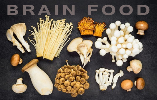Mushrooms-brain-food
