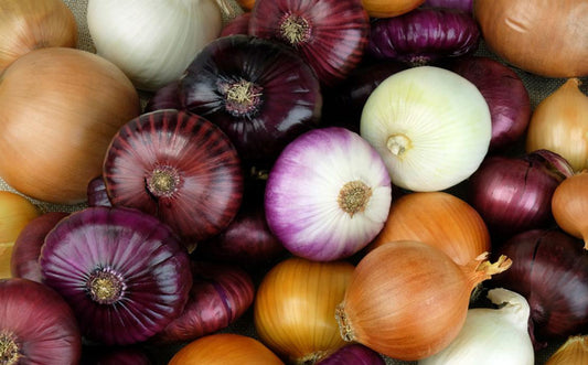Onions-fight-cancer
