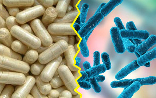 ProbioticCapsules-Micro_LR