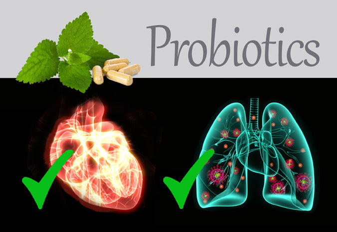 Probiotics-Support-Immune_LR
