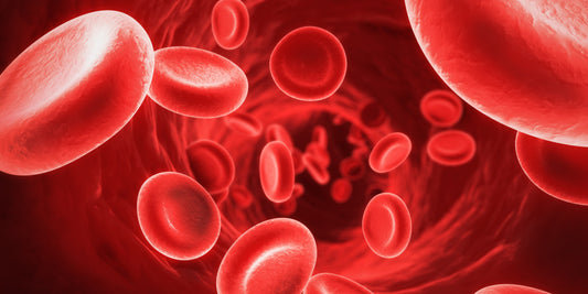 RedBloodCells1-1280x640