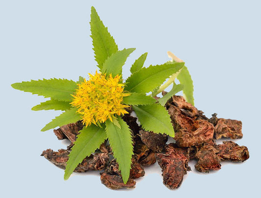 Rhodiola's oxygenating benefit improves endurance and supports muscles, study finds
